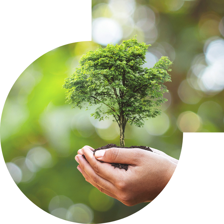 关怀人类、文化、环境与社会